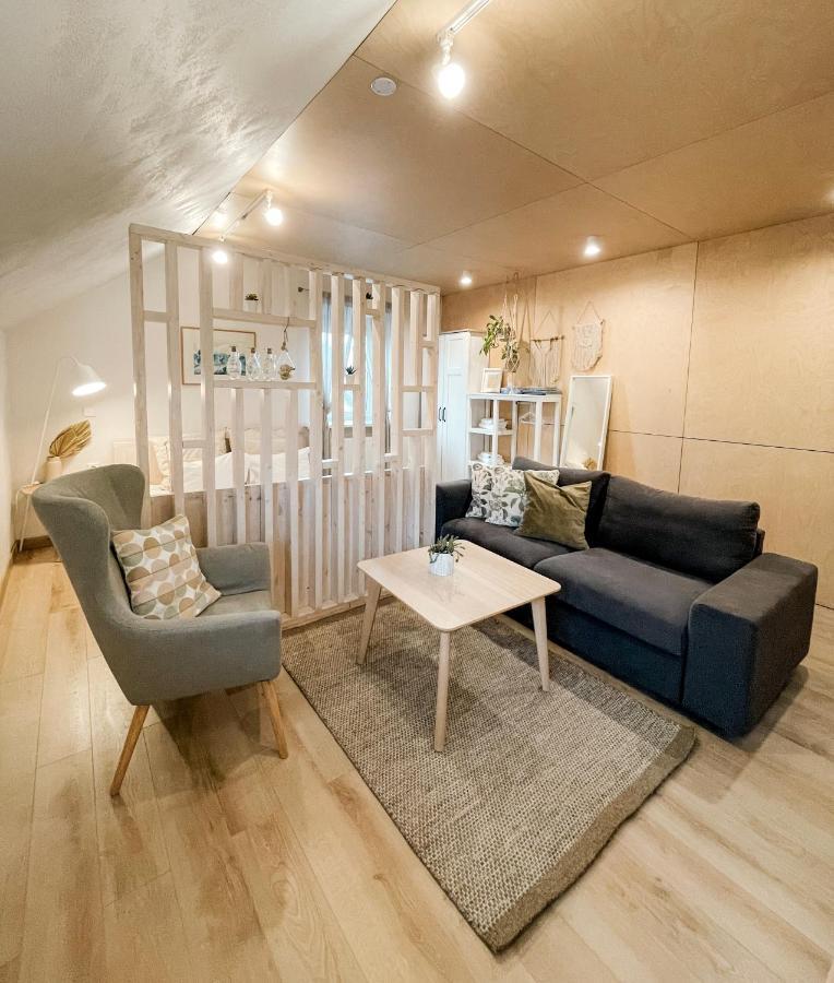 Marijampolė Old Town Apartment מראה חיצוני תמונה